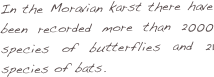In the Moravian karst there have been recorded more than 2000 species of butterflies and 21 species of bats.
